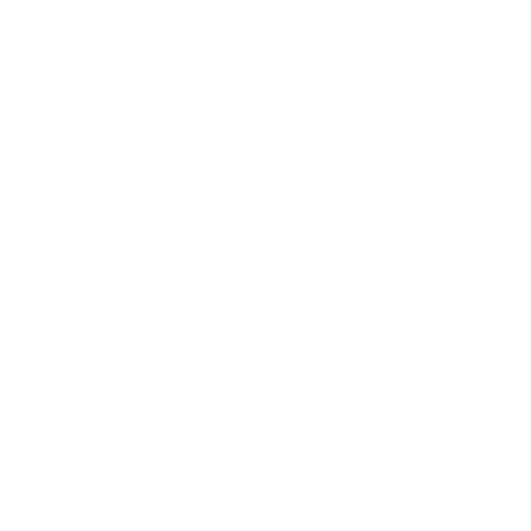 Rapier Group